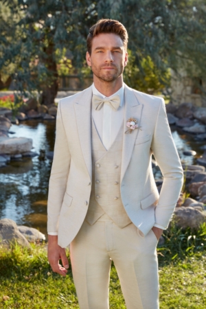 Costume de mariage 5 pièces coordonnées gris clair pour homme, Nice
